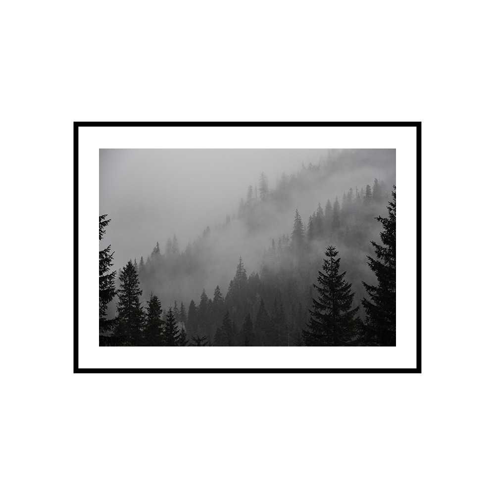 Obraz zdjęcie plakat format A3 30x40 cm mgła góry las