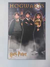 Quadro/Tela grande Harry Potter