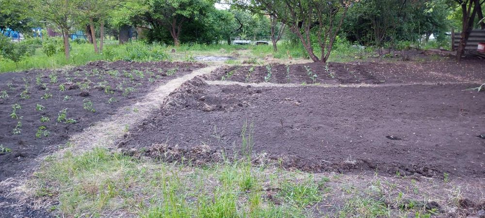 Продам дачну ділянку 6 сот