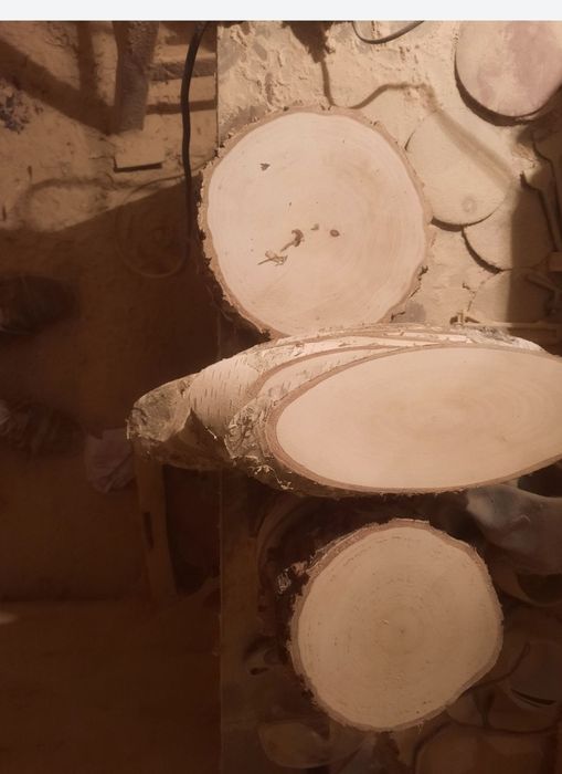 Plastry brzozowe owalne 10 sztuk.