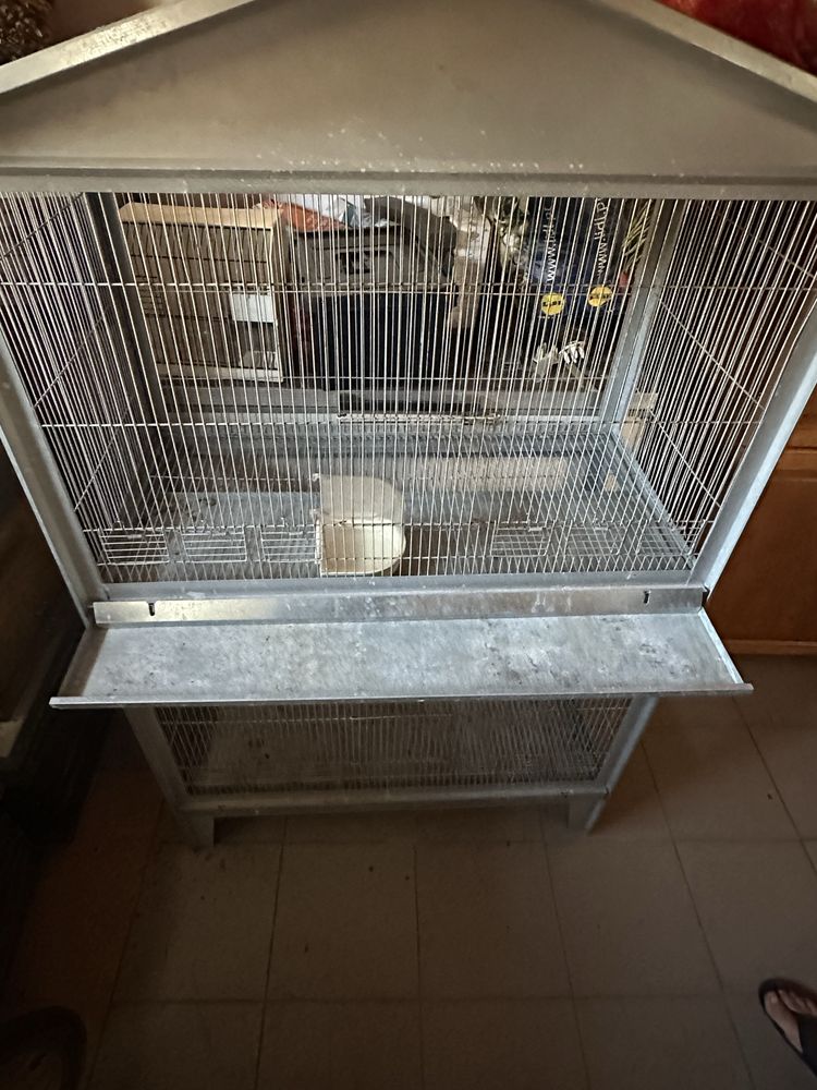 Vende se gaiola com duas divisorias