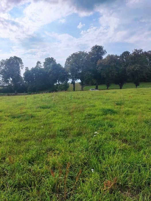 Karwie pod Mrągowem działka 10 ar z war zabudowy