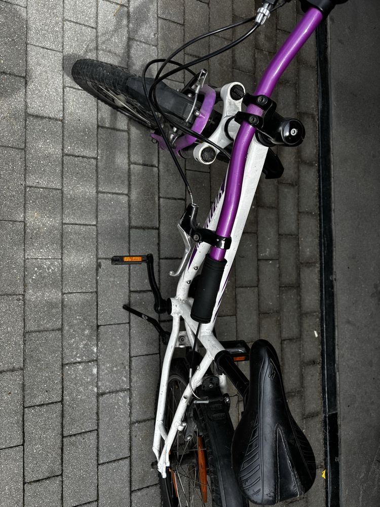 Rower Specialized