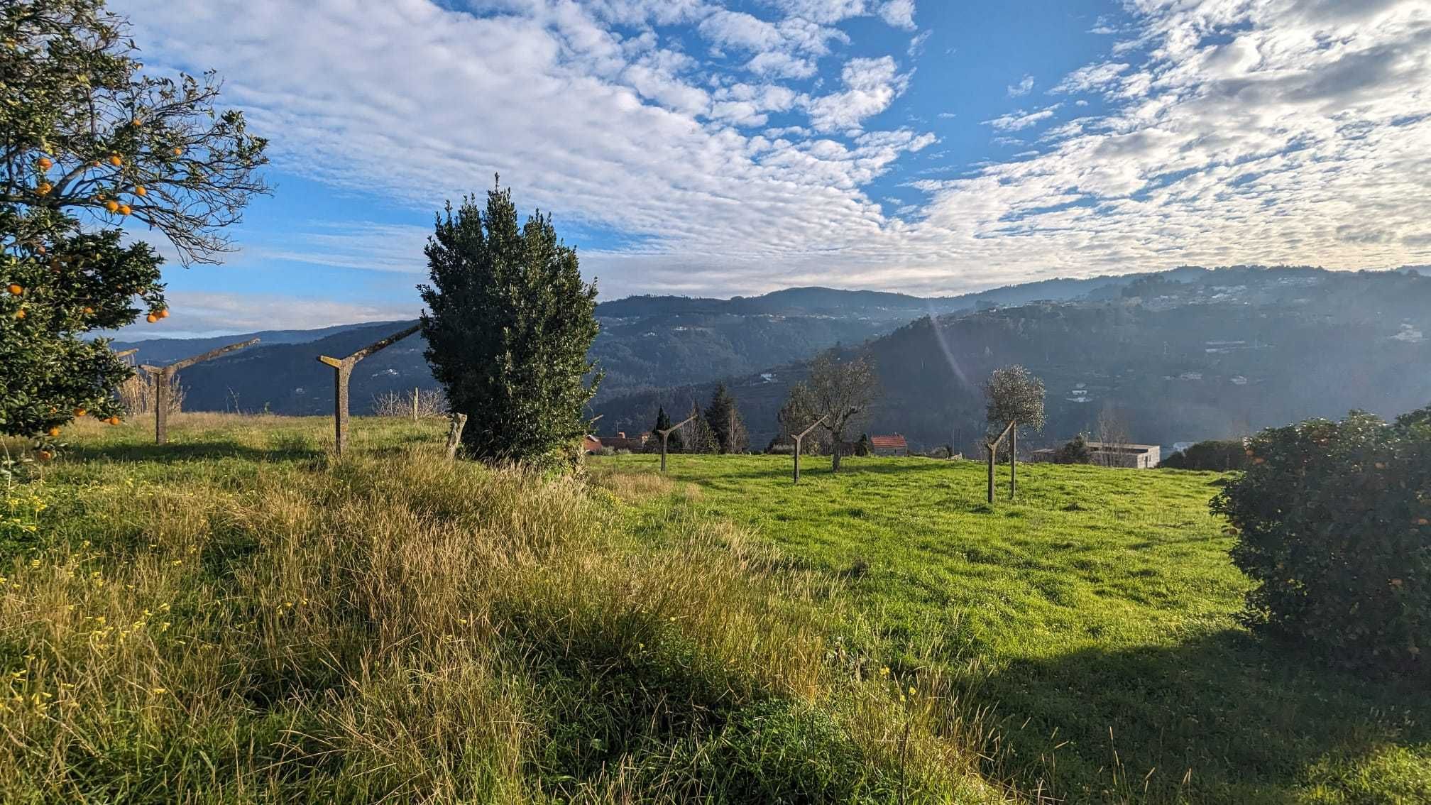 Terreno em São Lourenço do Douro para construção e vista rio.