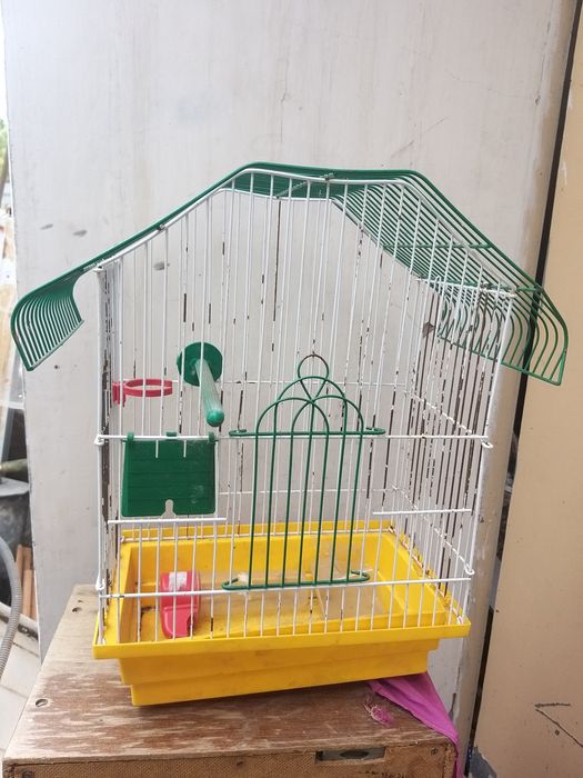Не большая высокая клетка для попугая шиншиллы хомячка морской свинки