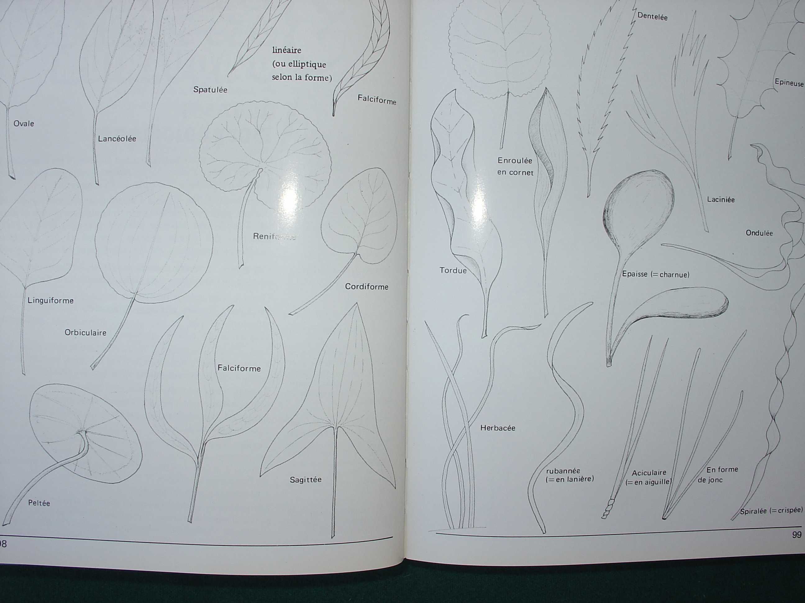 Manuel D'Aquariologie Tomo 2 Les Plantes 1ª parte Generalités