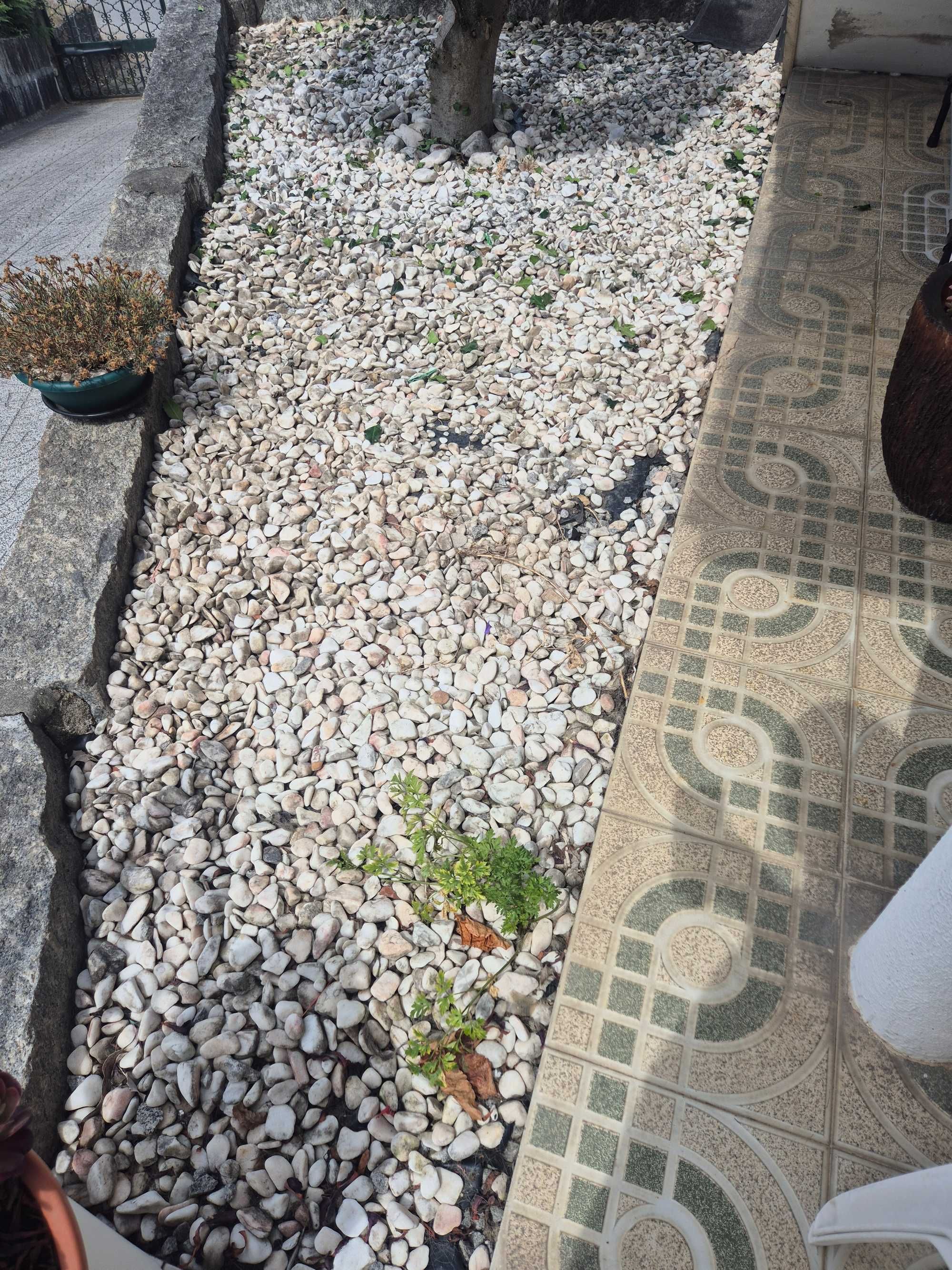 Pedra branca jardim