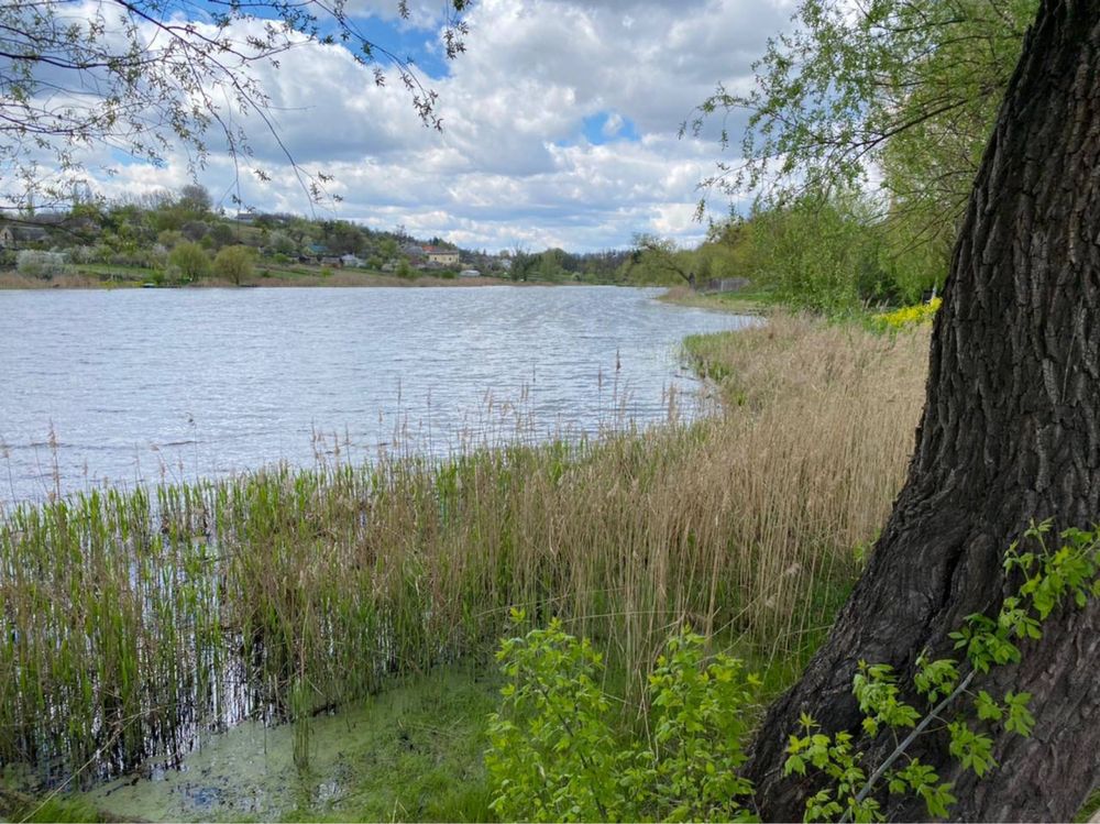 Продаж земельної ділянки на Київщині село Музичі