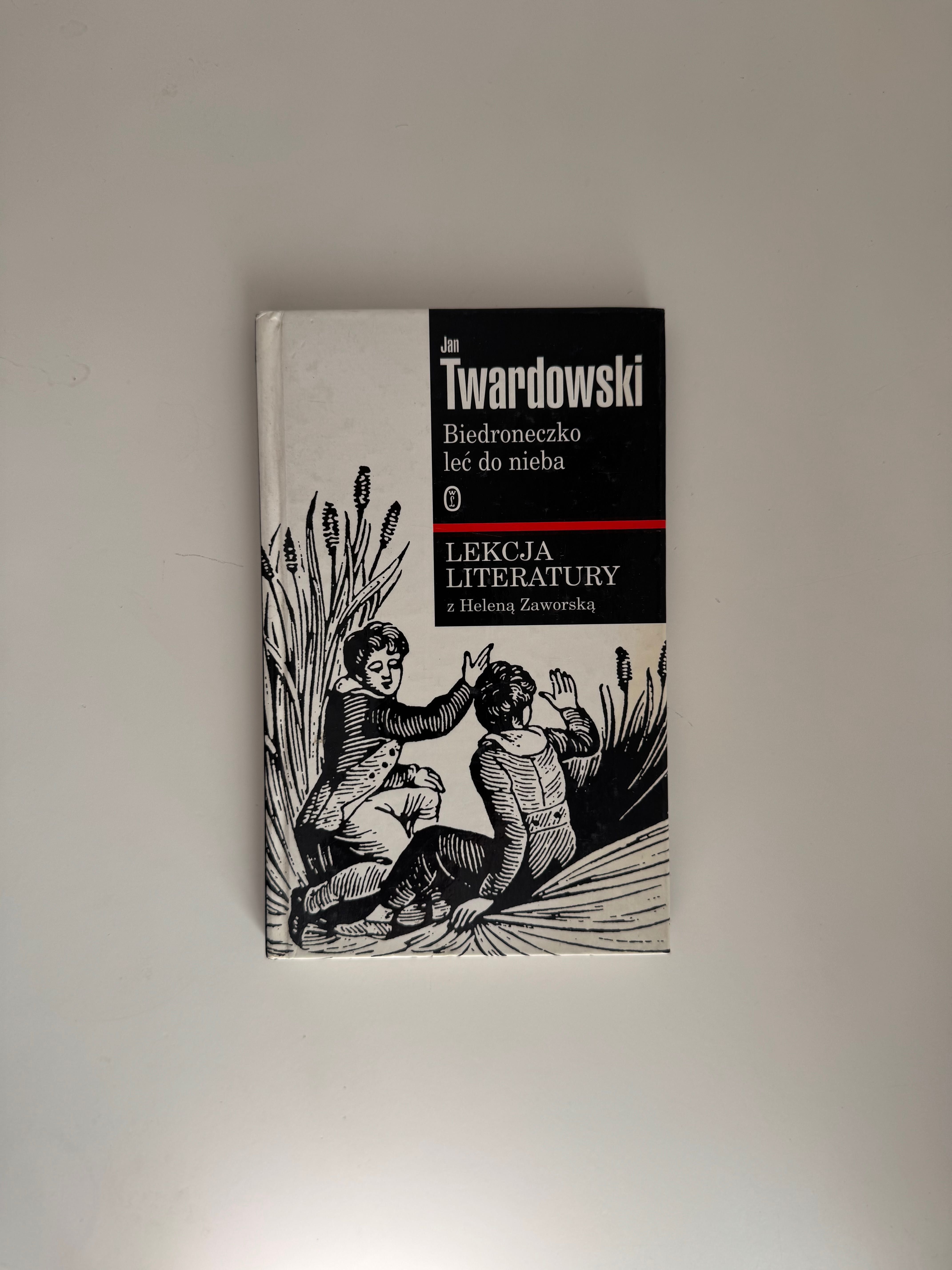 Biedroneczko leć do nieba – Jan Twardowski