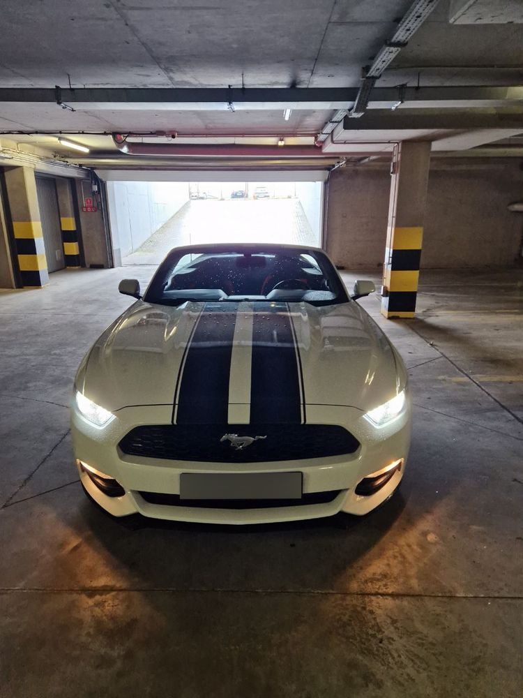 Ford Mustang Mustang Cabrio Piękny. V6 305km. Sportowy Wydech