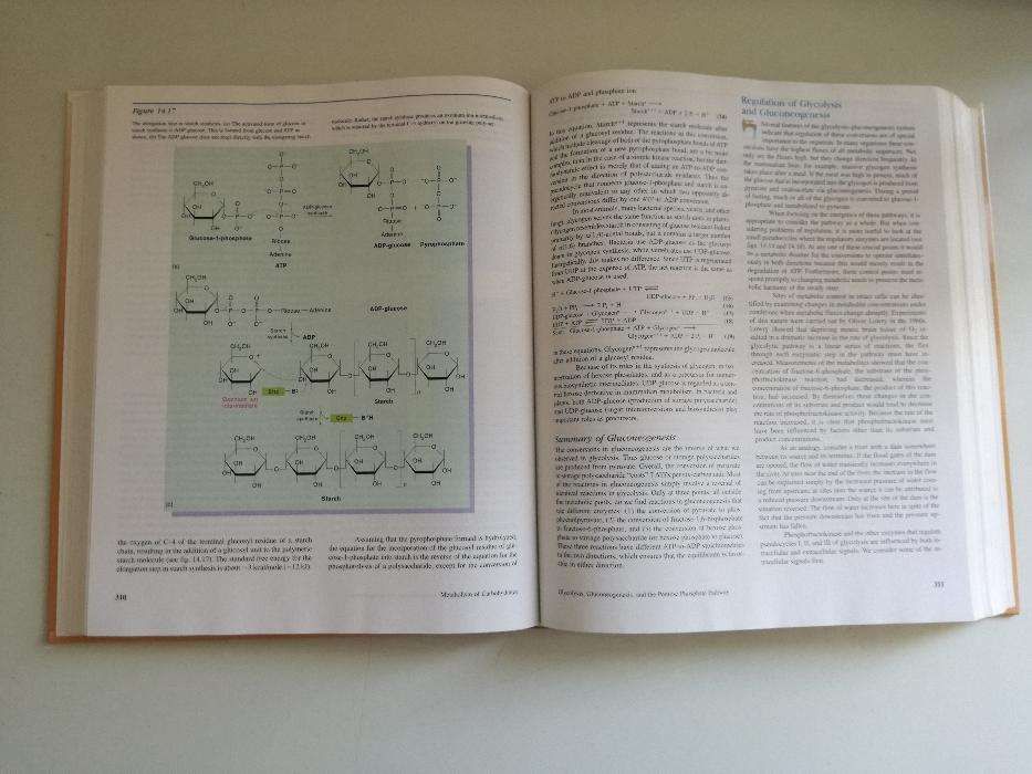 Livro Biochemistry - Geoffrey Zubay