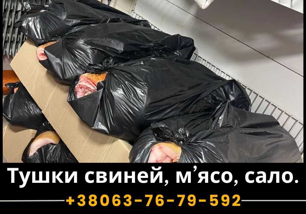 Свіжі тушки свинини. М'ЯСО. Сало. Тушка свині. ТЕЛЕФОНУЙТЕ!