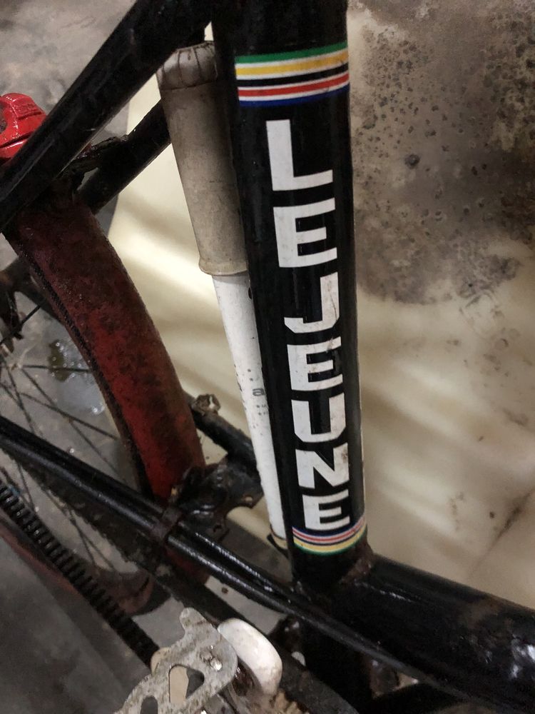 Bicicleta Lejeune francesa de correia