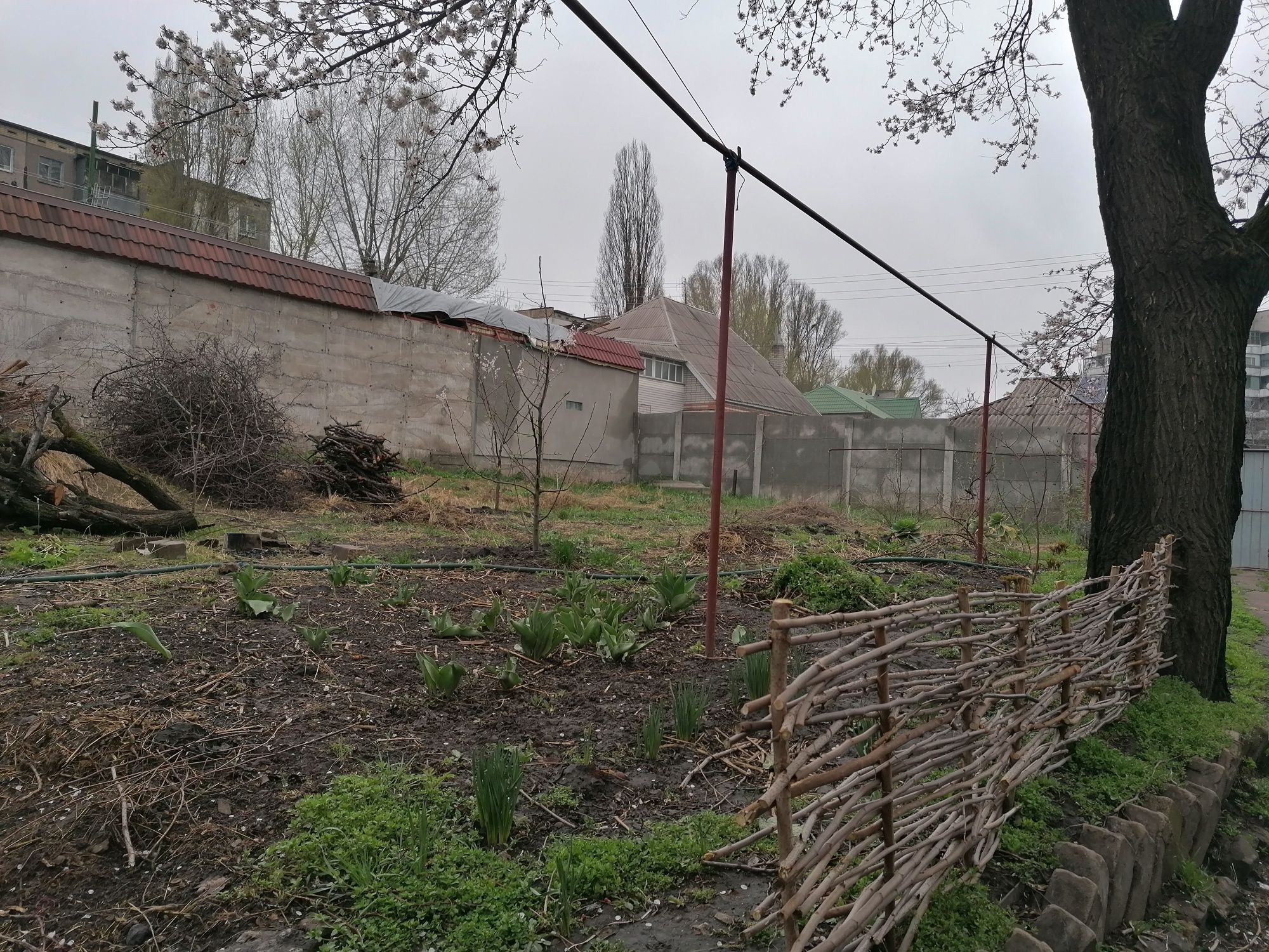 Предоставлю огород - землю в городе