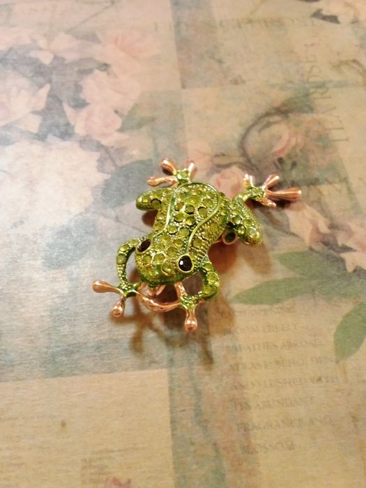 Alfinetes de Lapela/ Broches - Novos