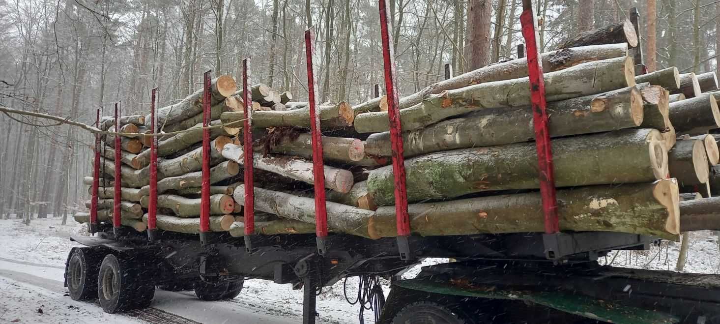 drewno kominkowe i opałowe wałki 250cm