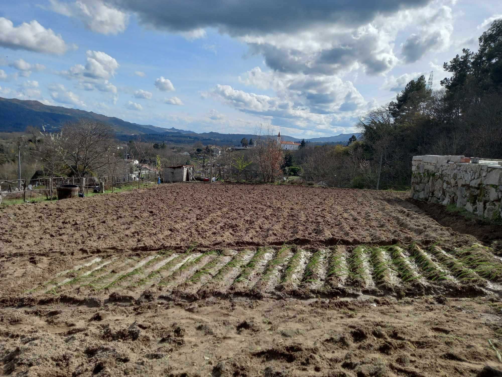 Casa e quinta para venda