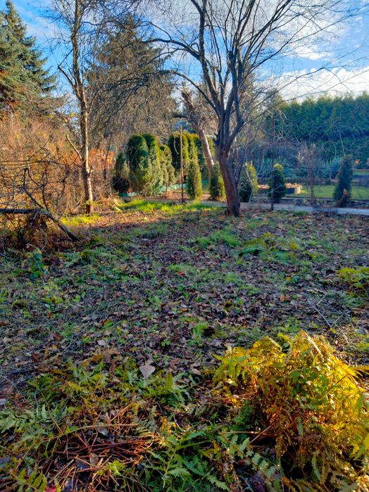 Sprzedam Działkę ROD Siekierki Warszawa