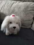 Peluche cadelinha