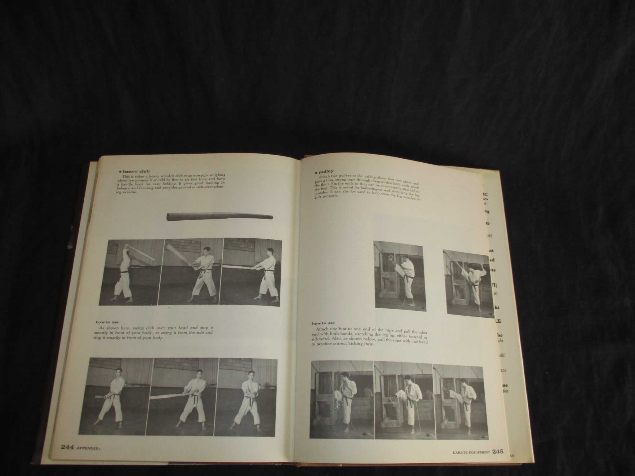 Livro Karate The Art of Empty Hand Fighting