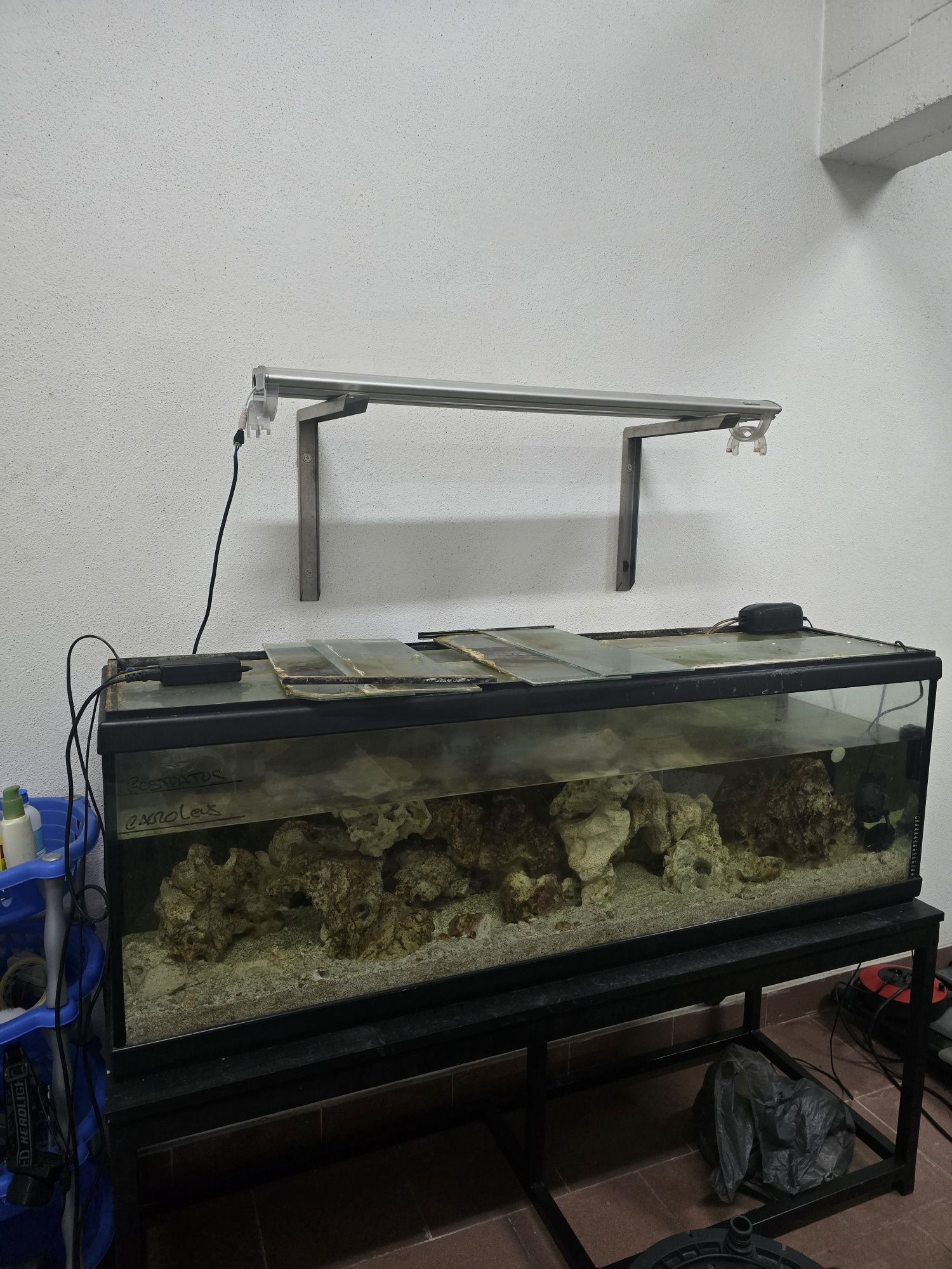 Aquario Magnum 1.50cm com movel + Calha de Luz
