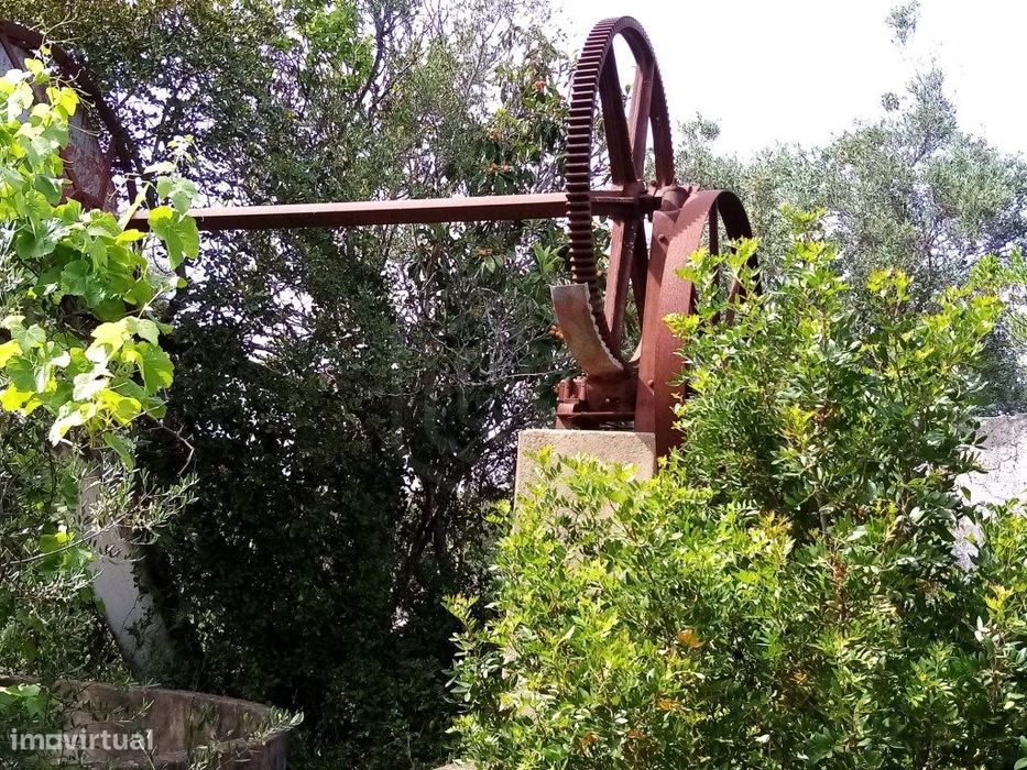 Terreno Rustico com 11 136m2, Loulé, Algarve