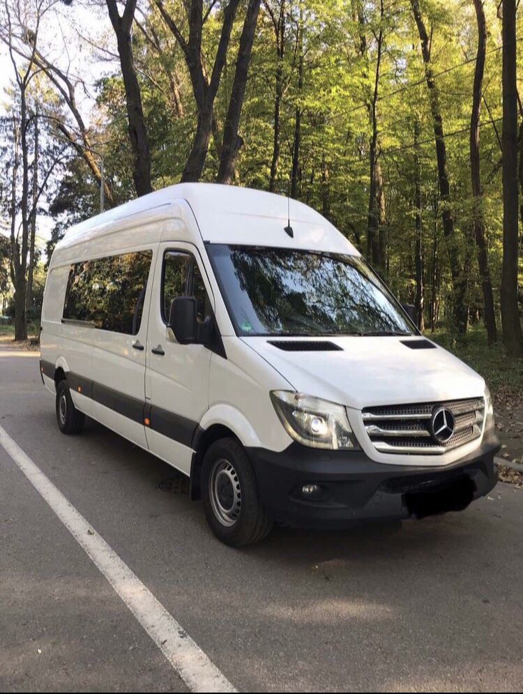 Міжнародні пасажирські перевезення Німечинна, Голандія, Бельгія
