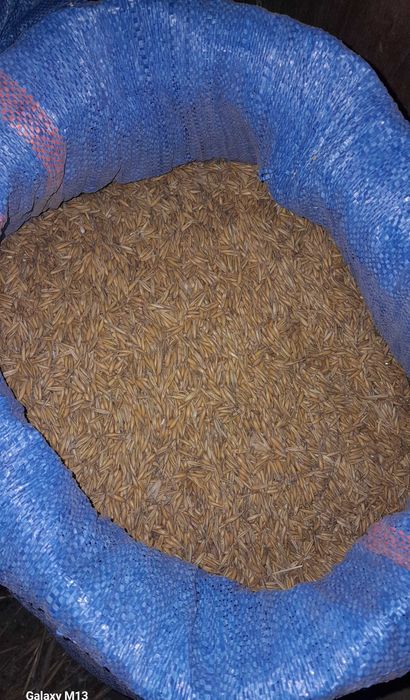 Sprzedam owies  ok 1 tona  okolice Michałowic k Krakowa