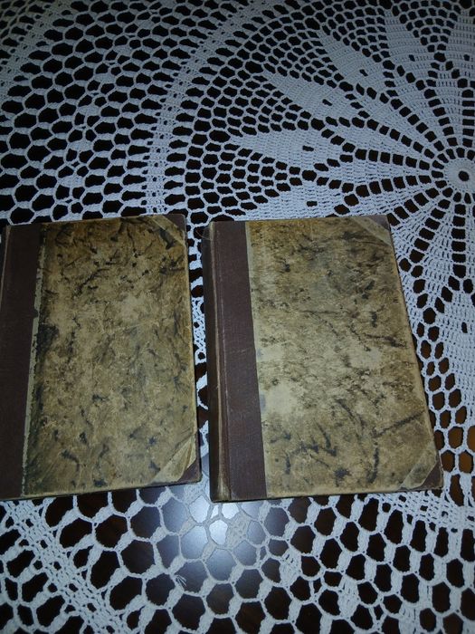 Wierzby nad Sekwana powiesc 1i2tom