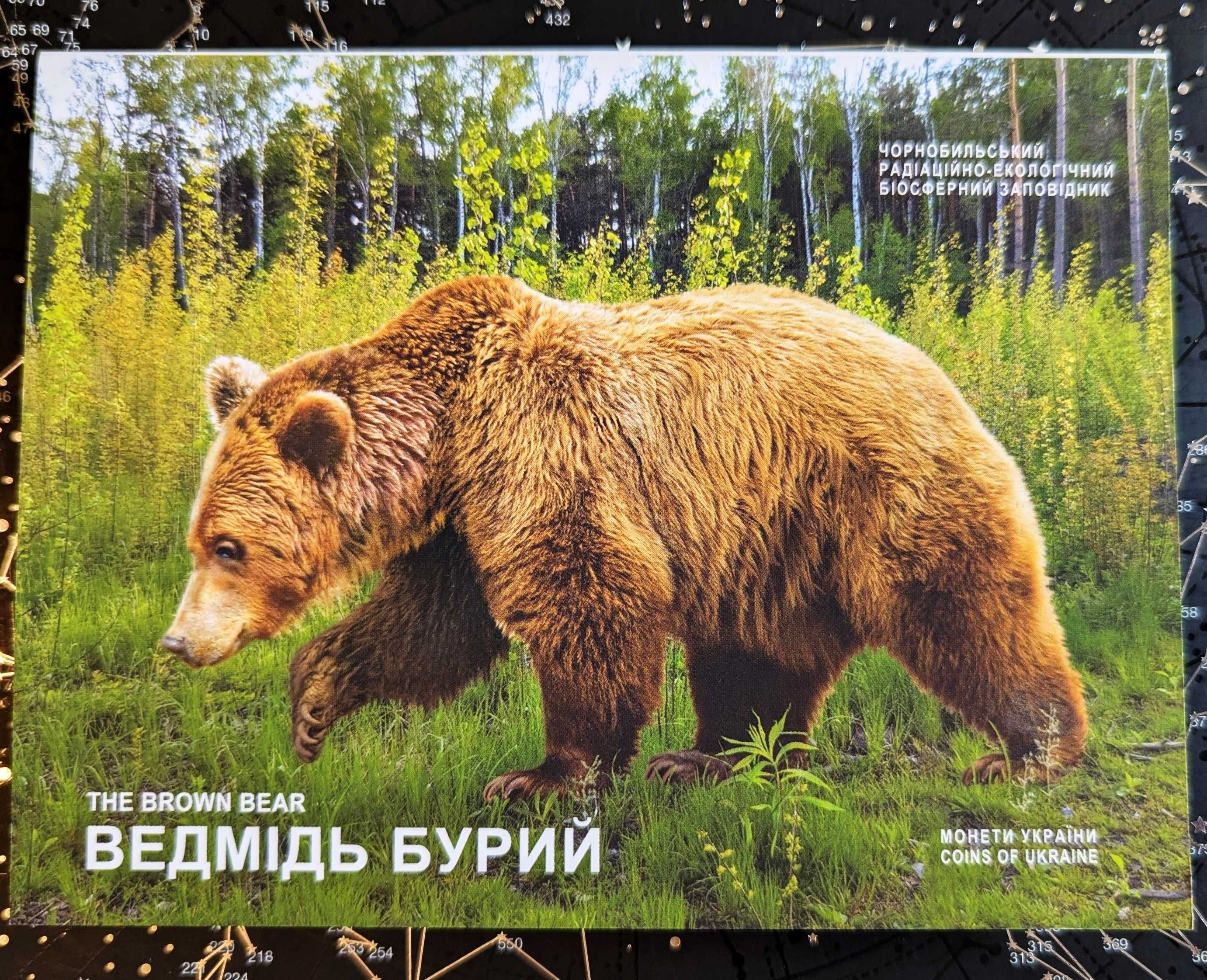 Монета НБУ 2022 року Чорнобиль. Відродження. Ведмідь бурий