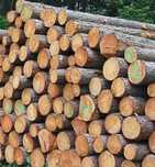 Продам дрова дуб, ясень, акация, без предоплаты, быстрая доставка