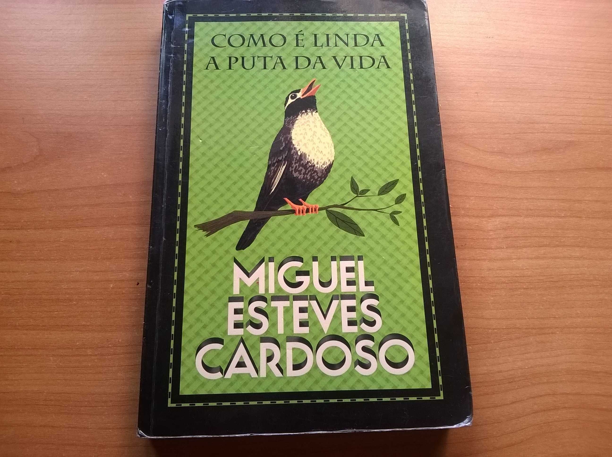 Como é Linda a Puta da Vida - Miguel Esteves Cardoso