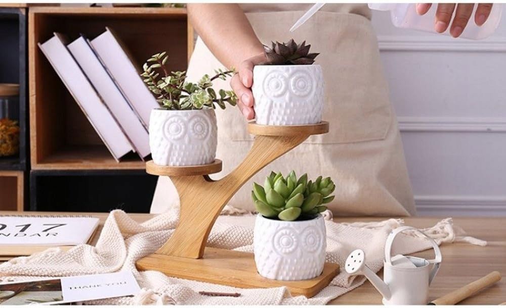 Doniczki na sukulenty, białe, ceramiczne + bambusowy kwietnik
