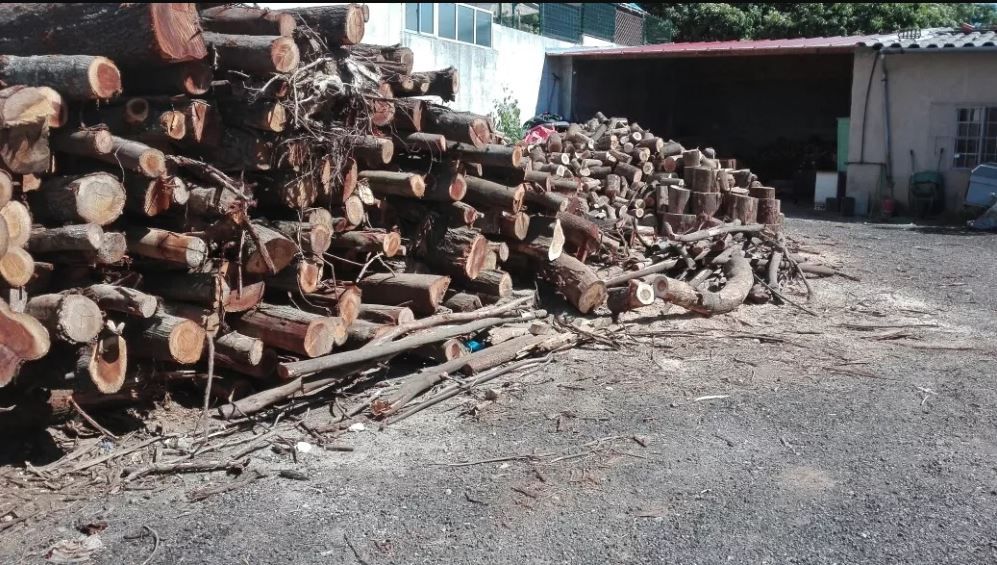 Lenha Várias qualidades