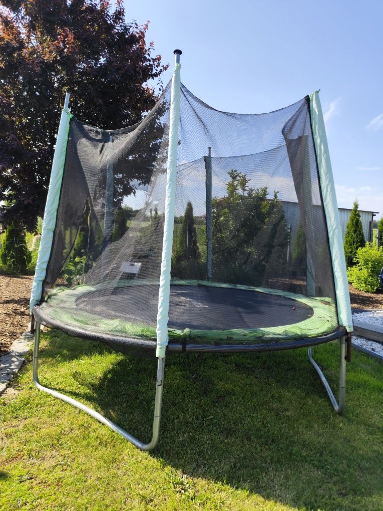 Trampolina 250 cm