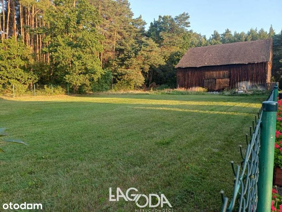 Na sprzedaż działka budowlana przy lesie - Kłodawa