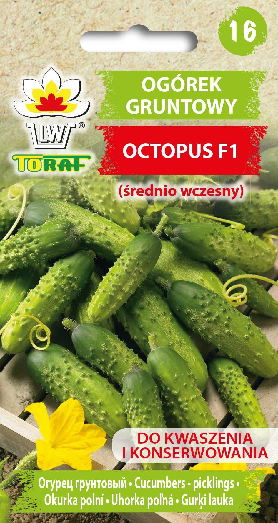 Ogórek Octopus gruntowy średnio wczesny 1g TORAF