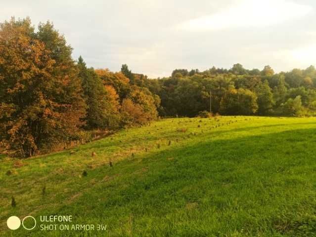 Sprzedam/Zamienię 7140m2 /Warunki zabudowy/Ładna działka