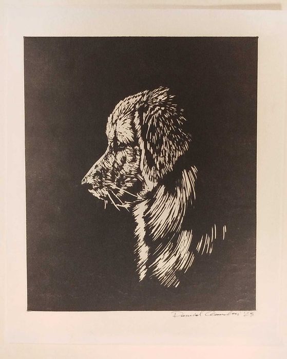 Linoryt, ilustracja, grafika, obrazek - Golden Rretriever, pies