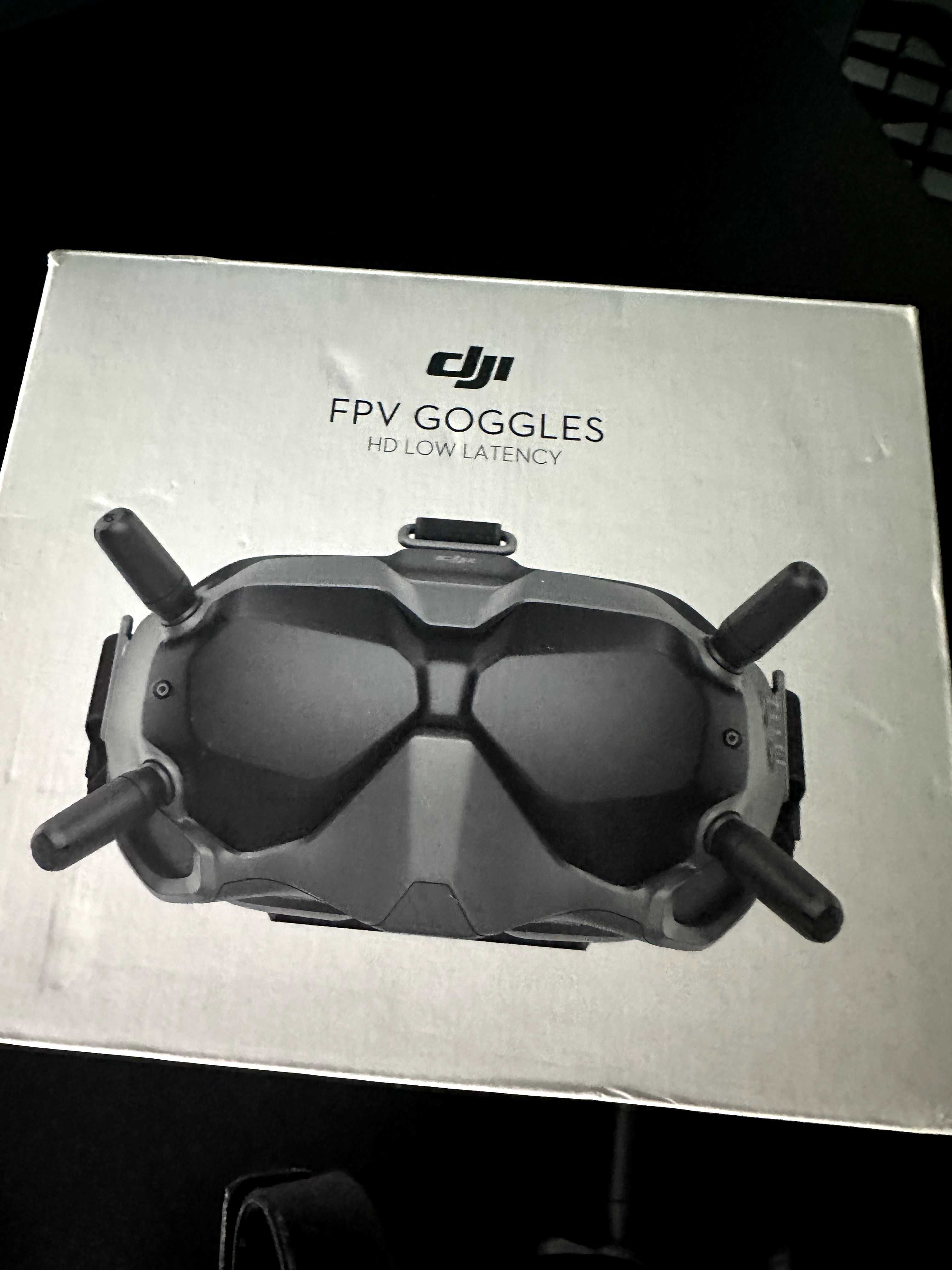 DJI FPV Gogle V1