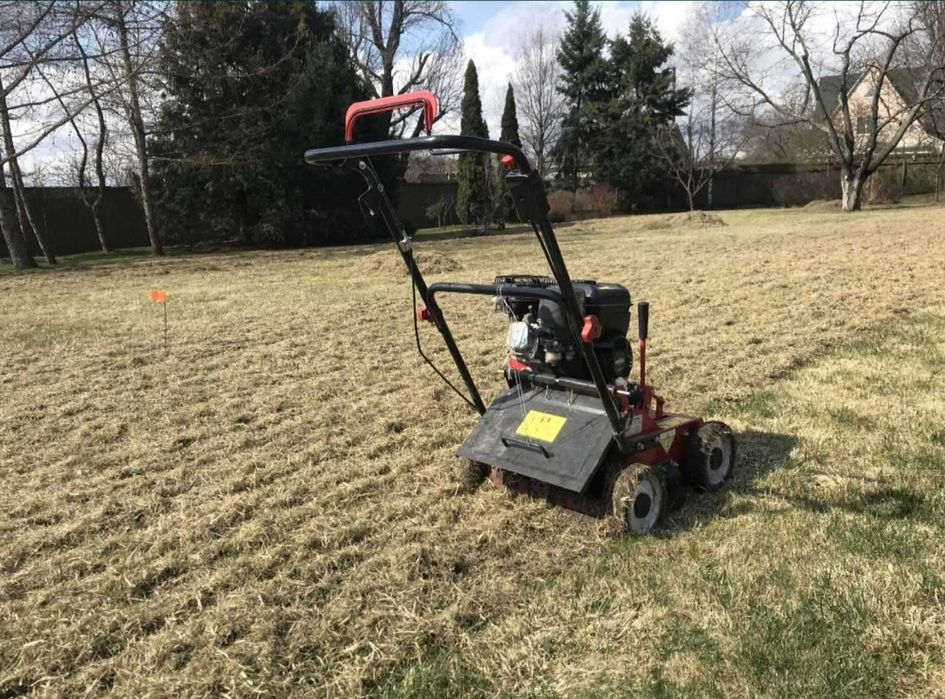 Скарифікація та аерація газону, вичісування старої трави мохів