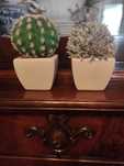 2 catos novos artificiais  5 € os 2