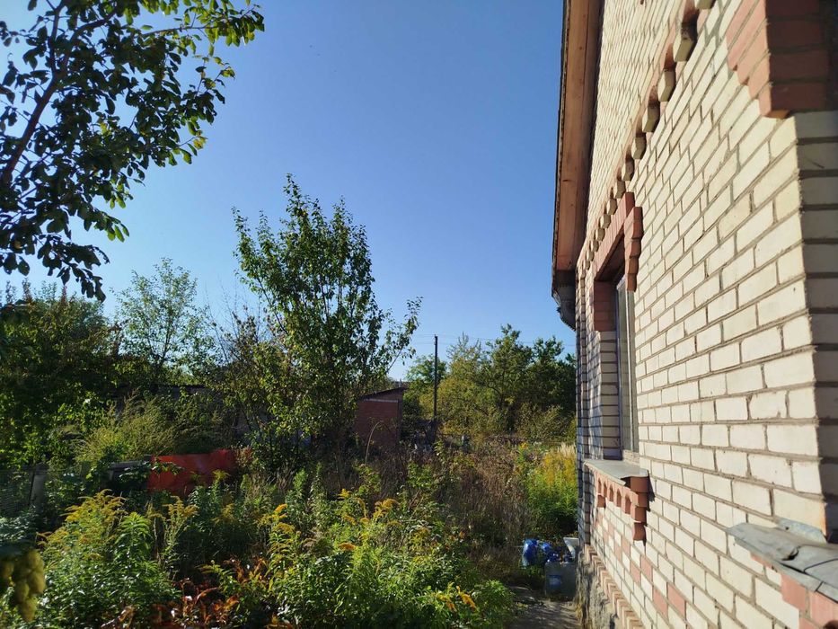 (8) Продам дачний будинок в с. Сальник 8614