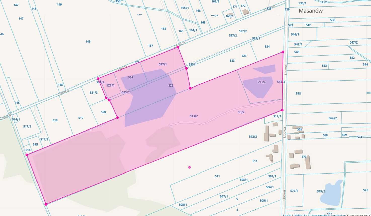 Teren inwestycyjny rekreacyjny 15,5 ha Masanów woj. wielkopolskie