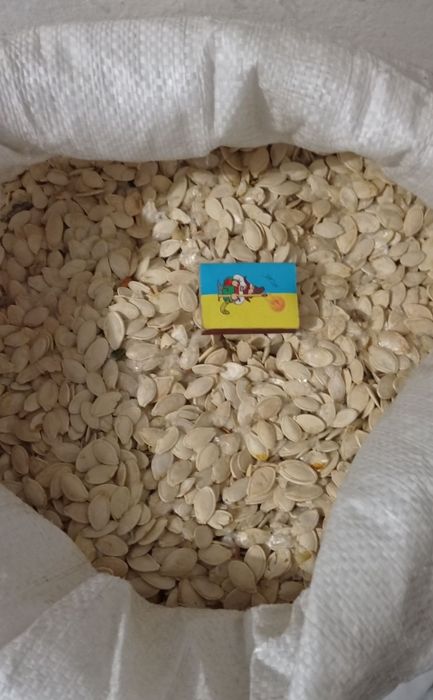 Продам. Горіхи. Насіня