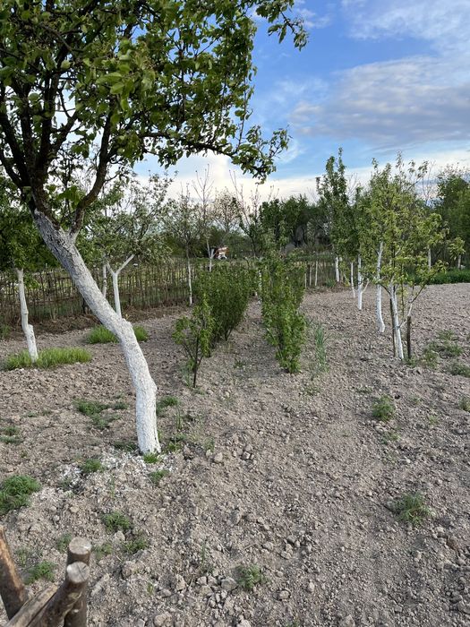 Продам дачну ділянку