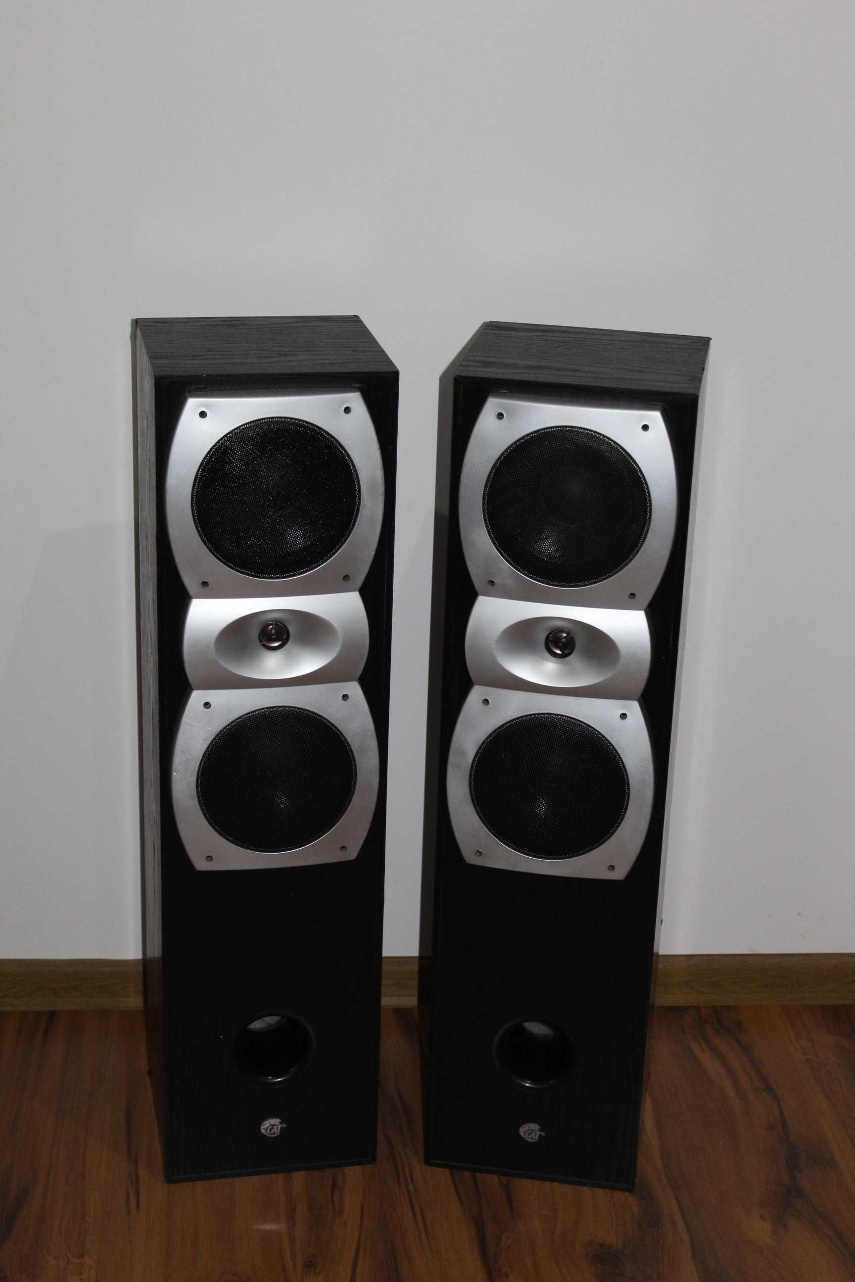 CAT Kolumny głośniki słupki 350 W 3 way bass reflex Wysyłka
