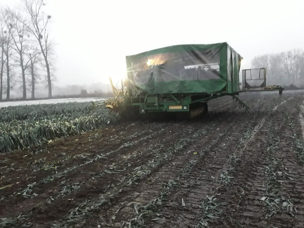 Kombajn do pora Verhoest. Możliwość zbioru na przemysł.