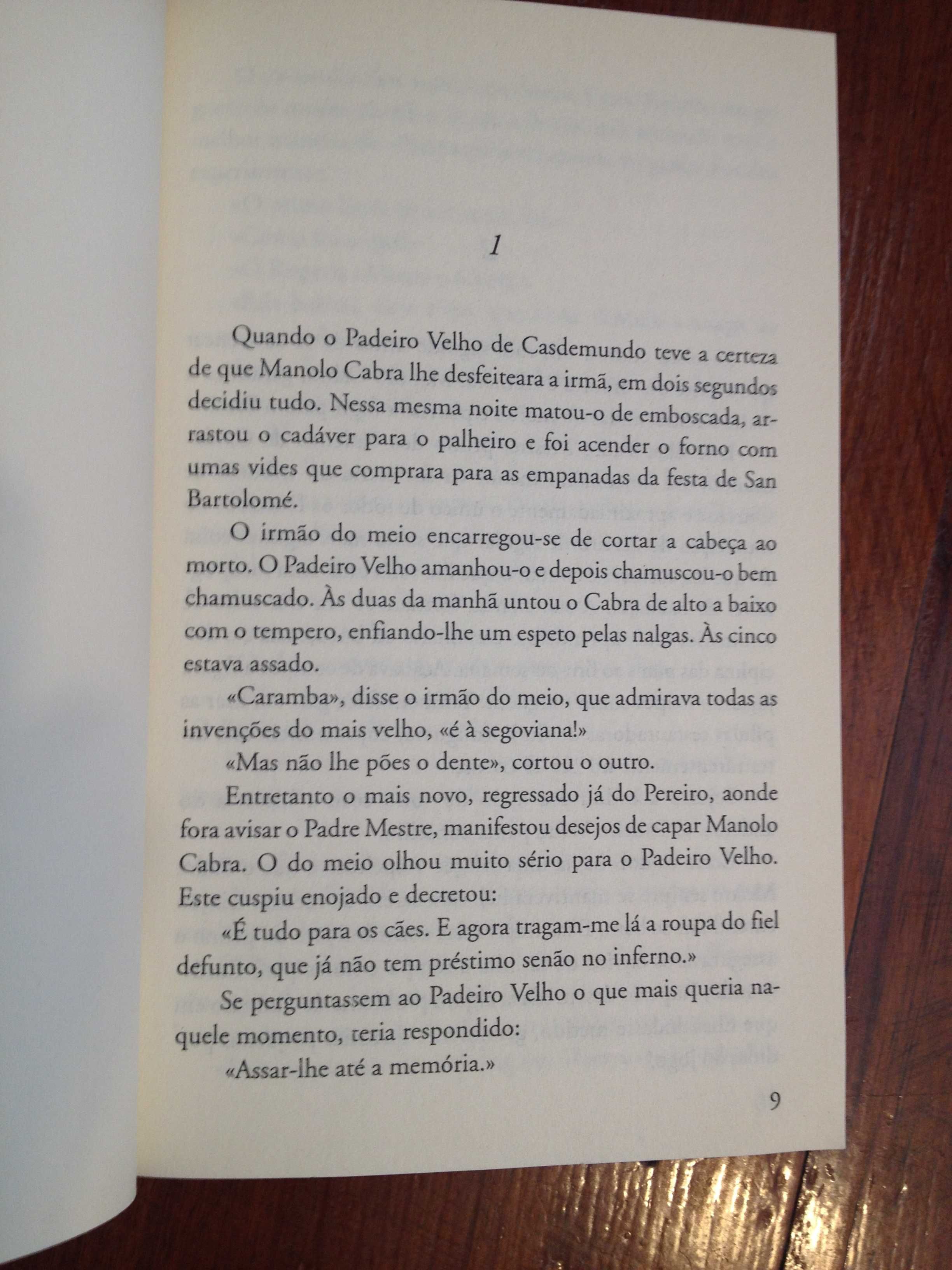 Fernando Assis Pacheco - Trabalhos e paixões de Benito Prada