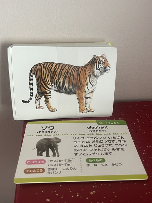 Karty do nauki język japoński zwierzęta